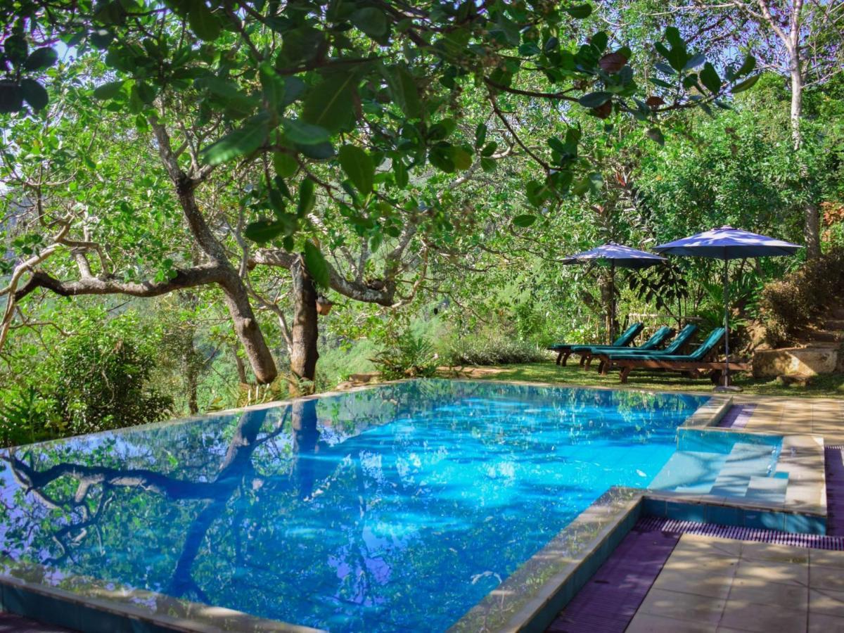 Aqua Exotica Wellness Retreat Otel Gampola Dış mekan fotoğraf